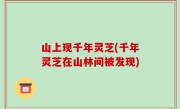山上现千年灵芝(千年灵芝在山林间被发现)