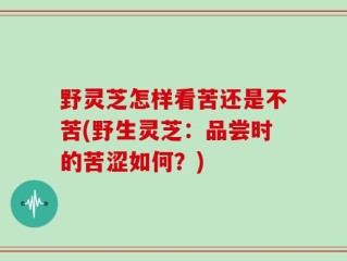 野灵芝怎样看苦还是不苦(野生灵芝：品尝时的苦涩如何？)