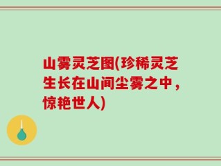 山雾灵芝图(珍稀灵芝生长在山间尘雾之中，惊艳世人)