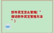 野外灵芝怎么繁殖(“探访野外灵芝繁殖方法”)