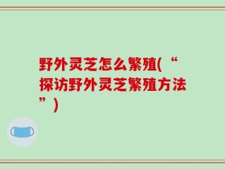 野外灵芝怎么繁殖(“探访野外灵芝繁殖方法”)