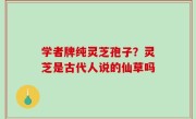 学者牌纯灵芝孢子？灵芝是古代人说的仙草吗
