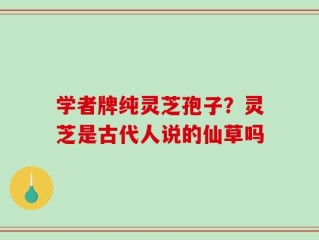 学者牌纯灵芝孢子？灵芝是古代人说的仙草吗