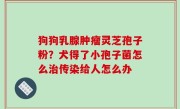 狗狗乳腺肿瘤灵芝孢子粉？犬得了小孢子菌怎么治传染给人怎么办