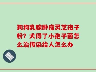 狗狗乳腺肿瘤灵芝孢子粉？犬得了小孢子菌怎么治传染给人怎么办