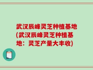 武汉辰峰灵芝种植基地(武汉辰峰灵芝种植基地：灵芝产量大丰收)
