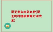 灵芝怎么吃怎么种(灵芝的种植和食用方法大全)