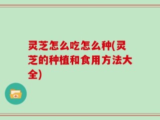 灵芝怎么吃怎么种(灵芝的种植和食用方法大全)