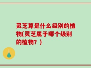 灵芝算是什么级别的植物(灵芝属于哪个级别的植物？)