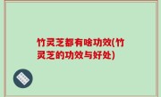 竹灵芝都有啥功效(竹灵芝的功效与好处)