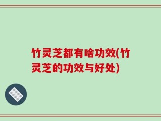 竹灵芝都有啥功效(竹灵芝的功效与好处)