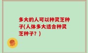 多大的人可以种灵芝种子(人体多大适合种灵芝种子？)