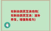 石斛白鸽灵芝汤功效(石斛白鸽灵芝汤：滋补养生，增强免疫力)