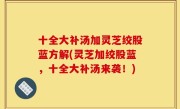 十全大补汤加灵芝绞股蓝方解(灵芝加绞股蓝，十全大补汤来袭！)