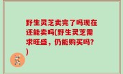 野生灵芝卖完了吗现在还能卖吗(野生灵芝需求旺盛，仍能购买吗？)