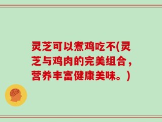 灵芝可以煮鸡吃不(灵芝与鸡肉的完美组合，营养丰富健康美味。)