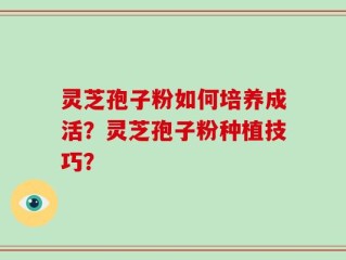 灵芝孢子粉如何培养成活？灵芝孢子粉种植技巧？