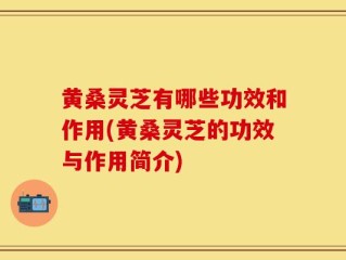 黄桑灵芝有哪些功效和作用(黄桑灵芝的功效与作用简介)