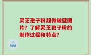 灵芝孢子粉超微破壁图片？了解灵芝孢子粉的制作过程和特点？