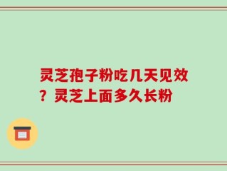 灵芝孢子粉吃几天见效？灵芝上面多久长粉