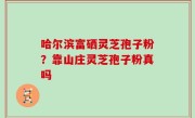 哈尔滨富硒灵芝孢子粉？靠山庄灵芝孢子粉真吗