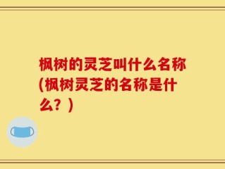 枫树的灵芝叫什么名称(枫树灵芝的名称是什么？)