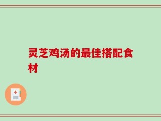 灵芝鸡汤的最佳搭配食材