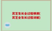 灵芝生长全过程横屏(灵芝全生长过程详解)