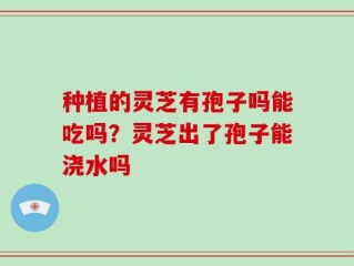 种植的灵芝有孢子吗能吃吗？灵芝出了孢子能浇水吗