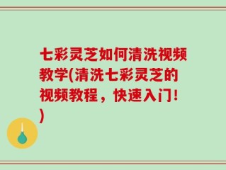 七彩灵芝如何清洗视频教学(清洗七彩灵芝的视频教程，快速入门！)
