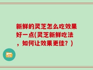 新鲜的灵芝怎么吃效果好一点(灵芝新鲜吃法，如何让效果更佳？)