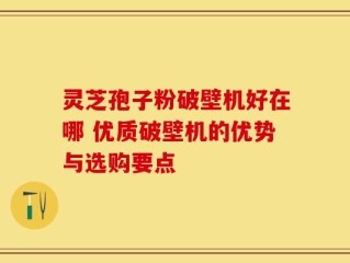 灵芝孢子粉破壁机好在哪 优质破壁机的优势与选购要点