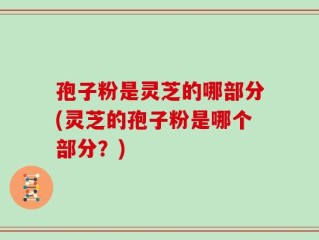 孢子粉是灵芝的哪部分(灵芝的孢子粉是哪个部分？)