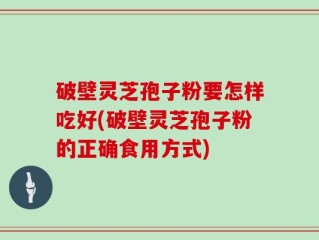 破壁灵芝孢子粉要怎样吃好(破壁灵芝孢子粉的正确食用方式)