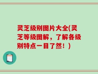 灵芝级别图片大全(灵芝等级图解，了解各级别特点一目了然！)