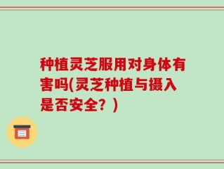 种植灵芝服用对身体有害吗(灵芝种植与摄入是否安全？)
