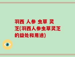 羽西 人参 虫草 灵芝(羽西人参虫草灵芝的益处和用途)