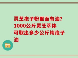 灵芝孢子粉里面有油？1000公斤灵芝萃体可取出多少公斤纯孢子油
