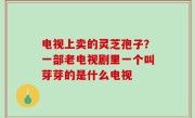 电视上卖的灵芝孢子？一部老电视剧里一个叫芽芽的是什么电视