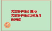 灵芝孢子粉的 图片(灵芝孢子粉的功效及用途详解)