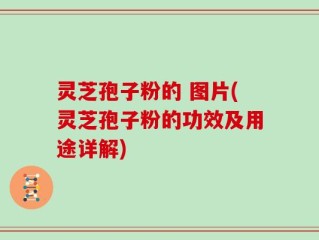 灵芝孢子粉的 图片(灵芝孢子粉的功效及用途详解)