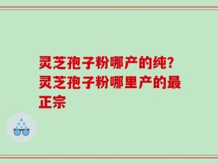 灵芝孢子粉哪产的纯？灵芝孢子粉哪里产的最正宗