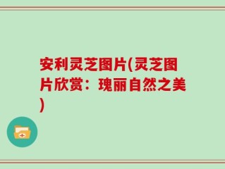 安利灵芝图片(灵芝图片欣赏：瑰丽自然之美)