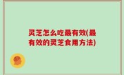 灵芝怎么吃最有效(最有效的灵芝食用方法)