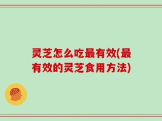 灵芝怎么吃最有效(最有效的灵芝食用方法)