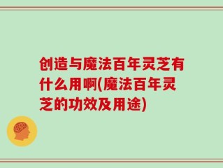 创造与魔法百年灵芝有什么用啊(魔法百年灵芝的功效及用途)