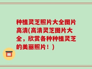 种植灵芝照片大全图片高清(高清灵芝图片大全，欣赏各种种植灵芝的美丽照片！)