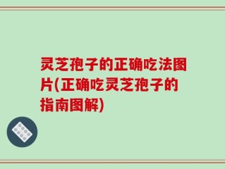 灵芝孢子的正确吃法图片(正确吃灵芝孢子的指南图解)