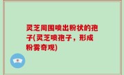 灵芝周围喷出粉状的孢子(灵芝喷孢子，形成粉雾奇观)