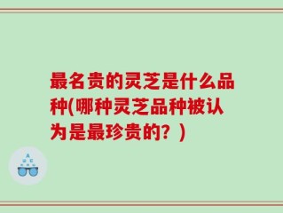 最名贵的灵芝是什么品种(哪种灵芝品种被认为是最珍贵的？)